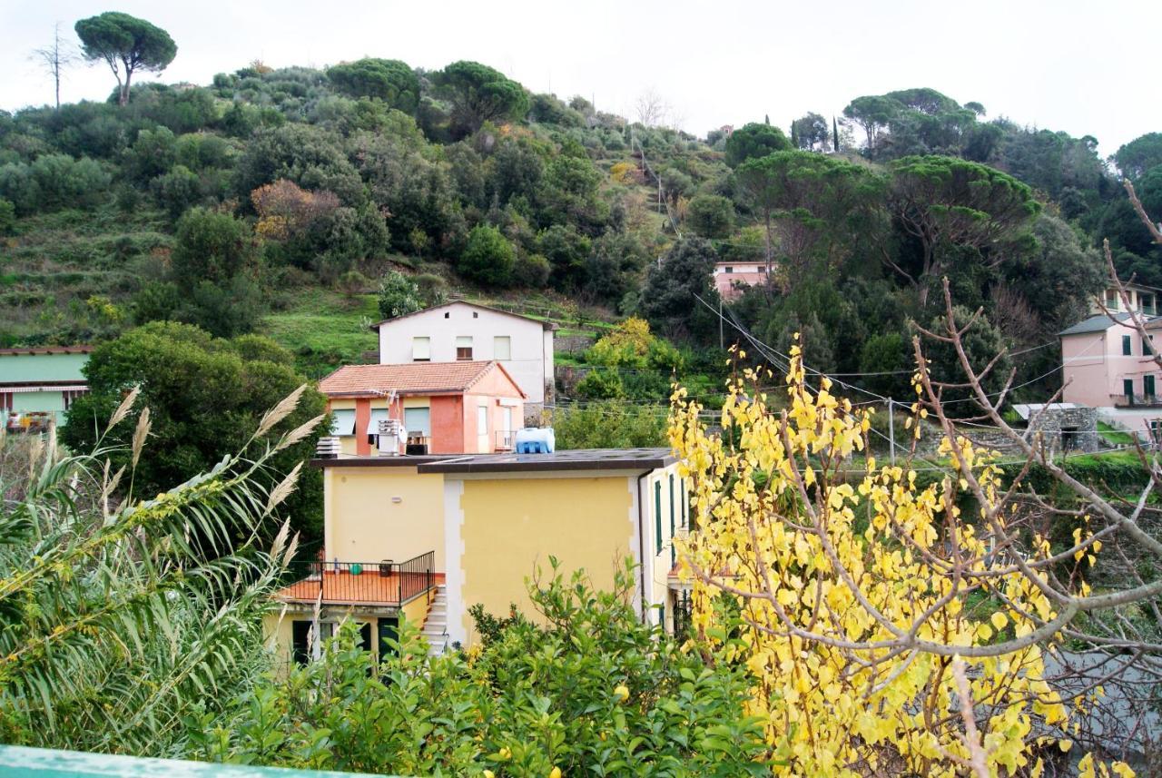 Chez Sylviehouse Apartment Monterosso al Mare Exterior photo