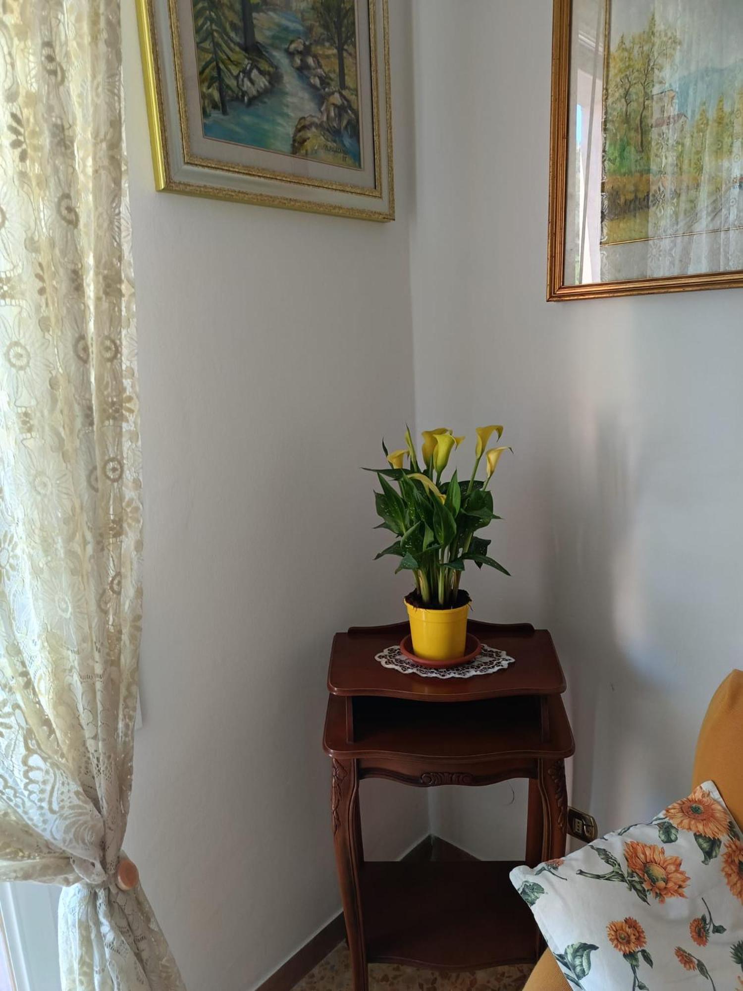 Chez Sylviehouse Apartment Monterosso al Mare Exterior photo
